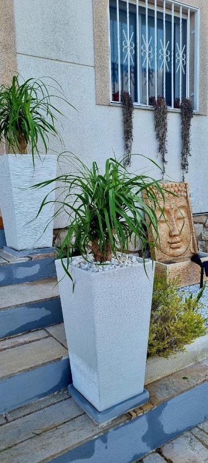 Villa Rosa De Los Vientos Les Tres Cales Extérieur photo